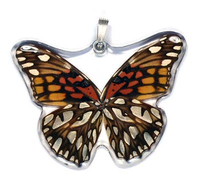 Whole Butterfly Pendant: Mexican Silverspot 0210