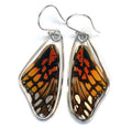 Butterfly Earrings: Mexican Silverspot, Top Wing 0210