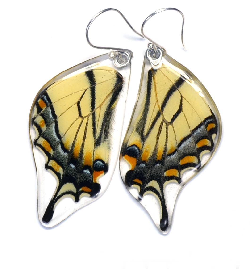 Butterfly Earrings: Eastern Tiger Swallowtail Bottom Wings 0270