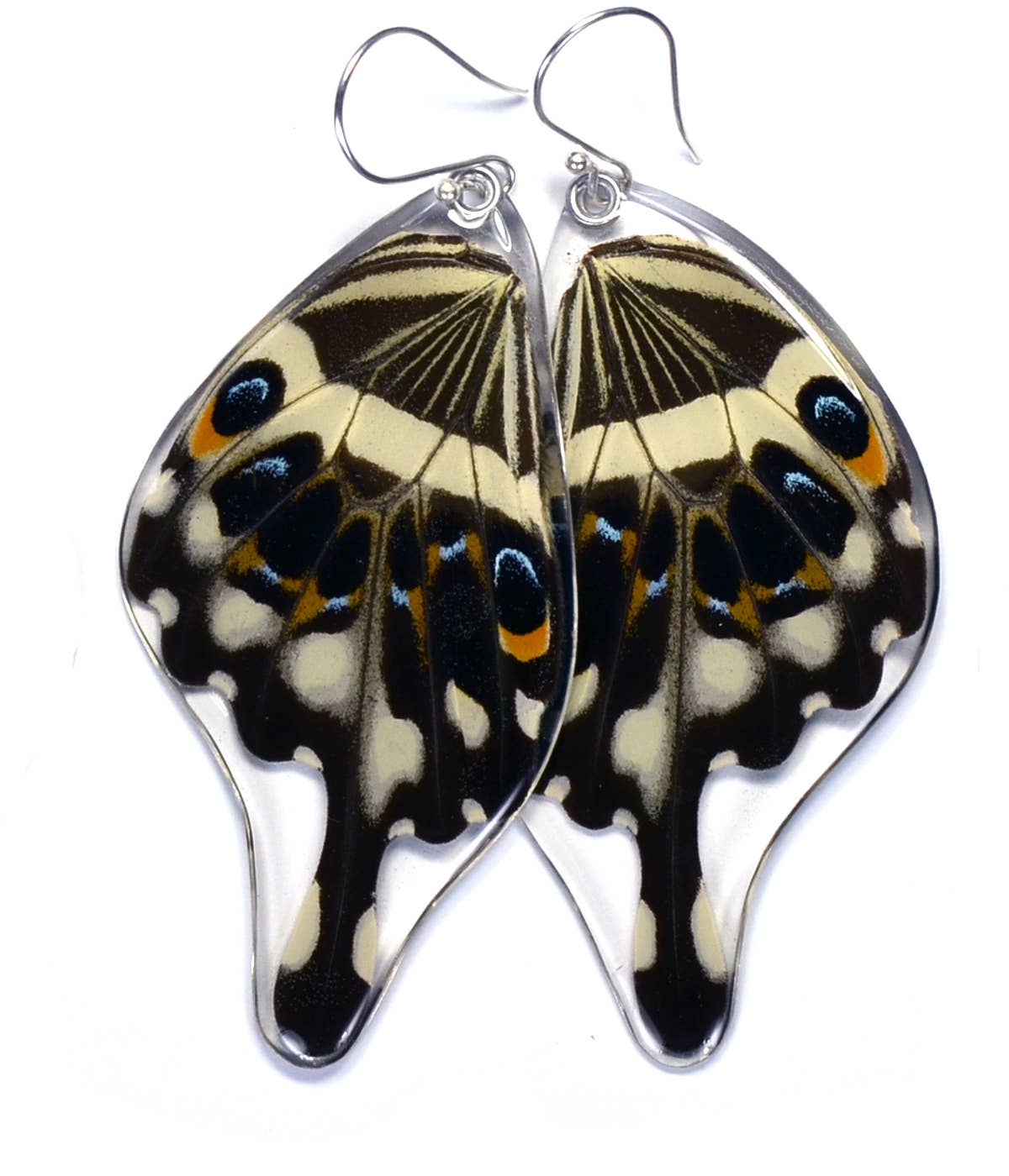 Butterfly Earrings: Central Emperor Swallowtail Bottom Wings