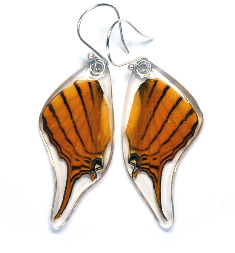 Butterfly Earrings: Orange Daggerwing, Bottom Wing 0315