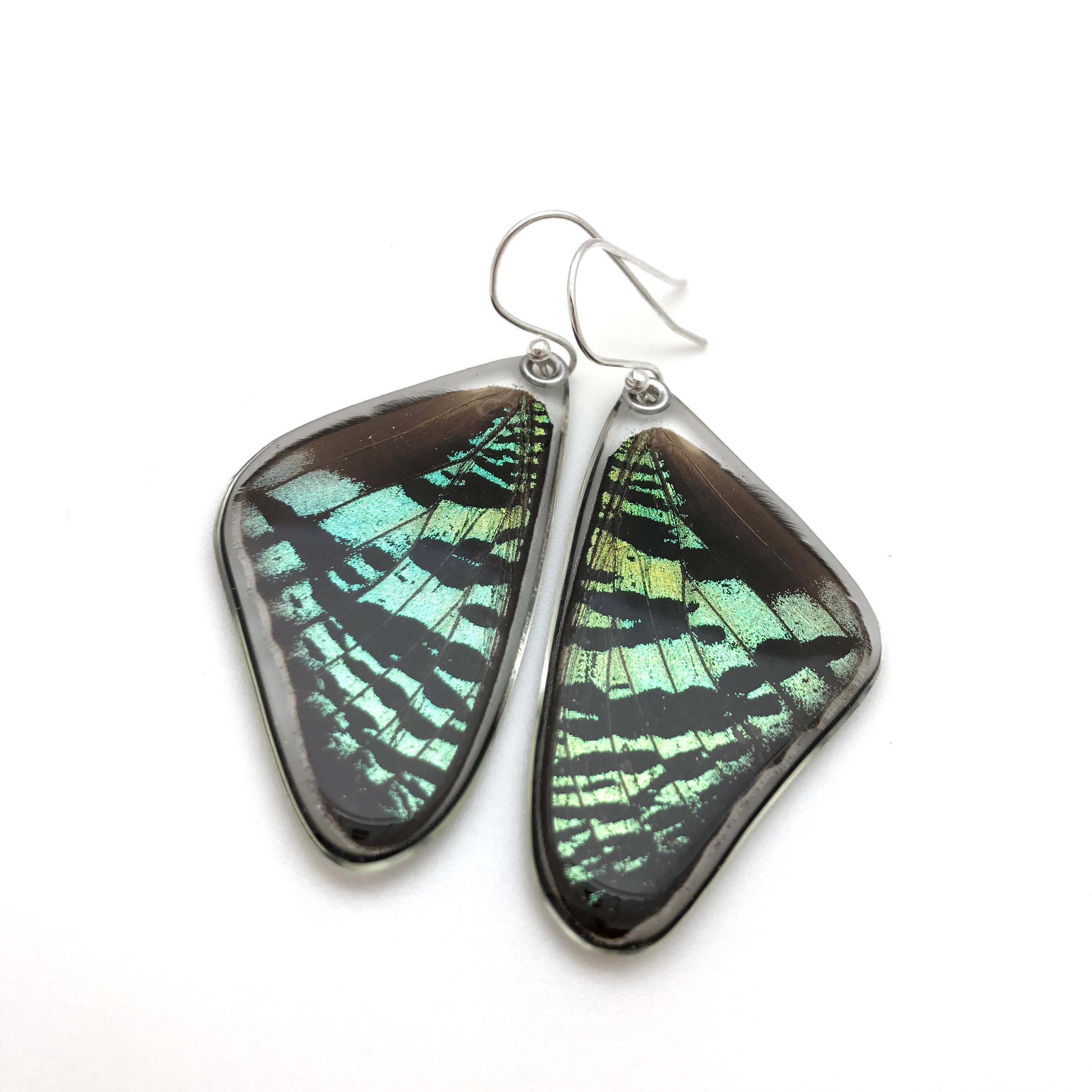 Butterfly Earrings: Green Sunset Moth Top Wing 0055