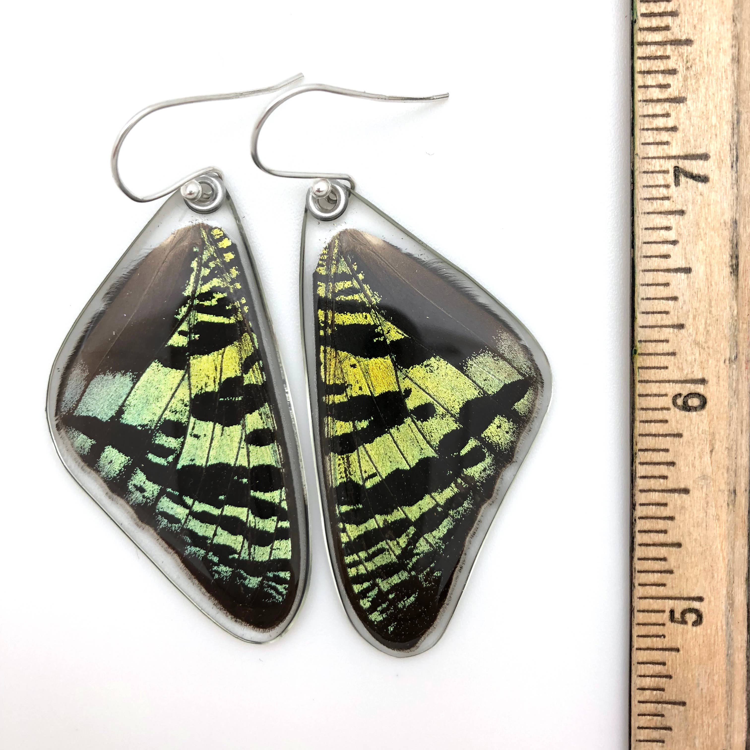 Butterfly Earrings: Green Sunset Moth Top Wing 0055