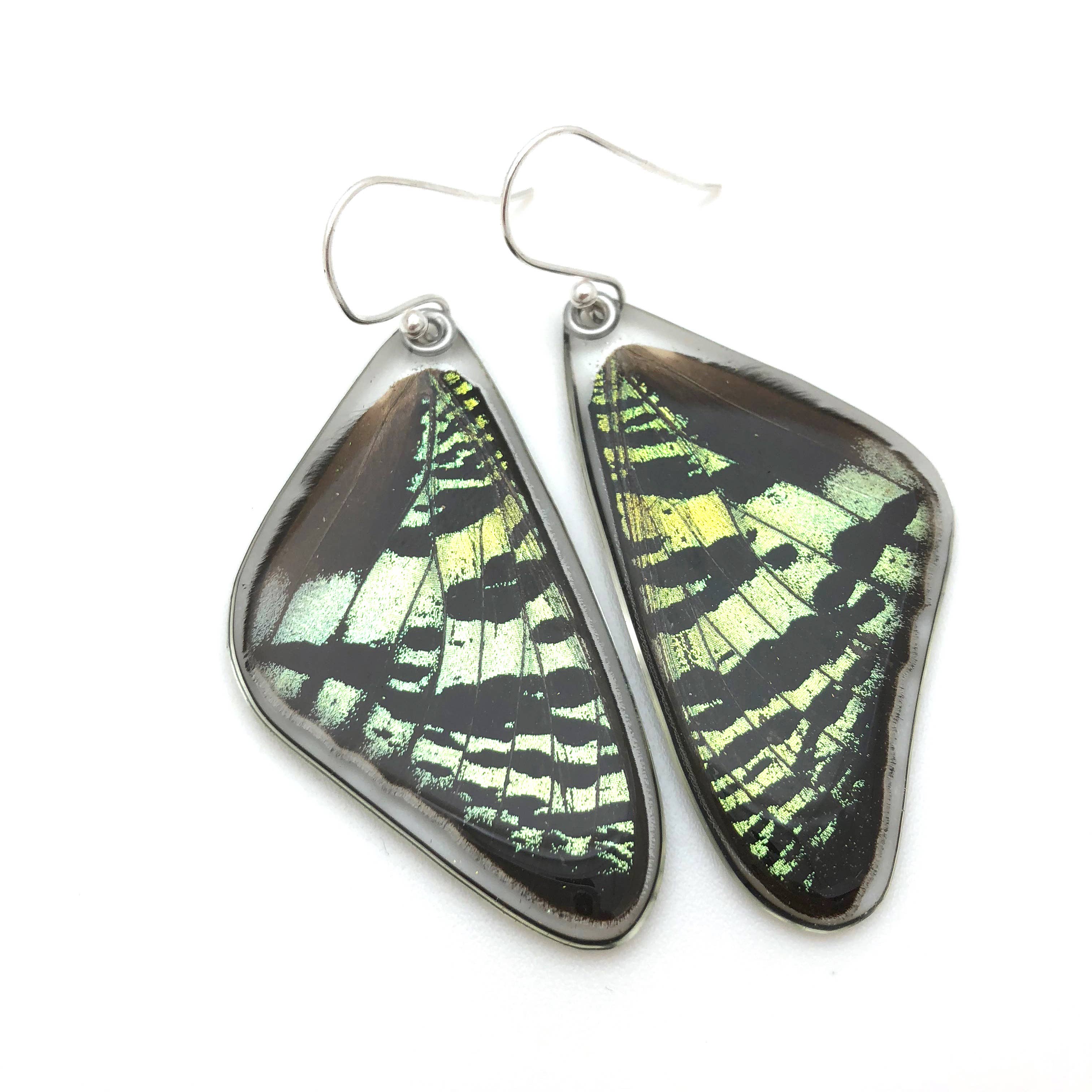 Butterfly Earrings: Green Sunset Moth Top Wing 0055