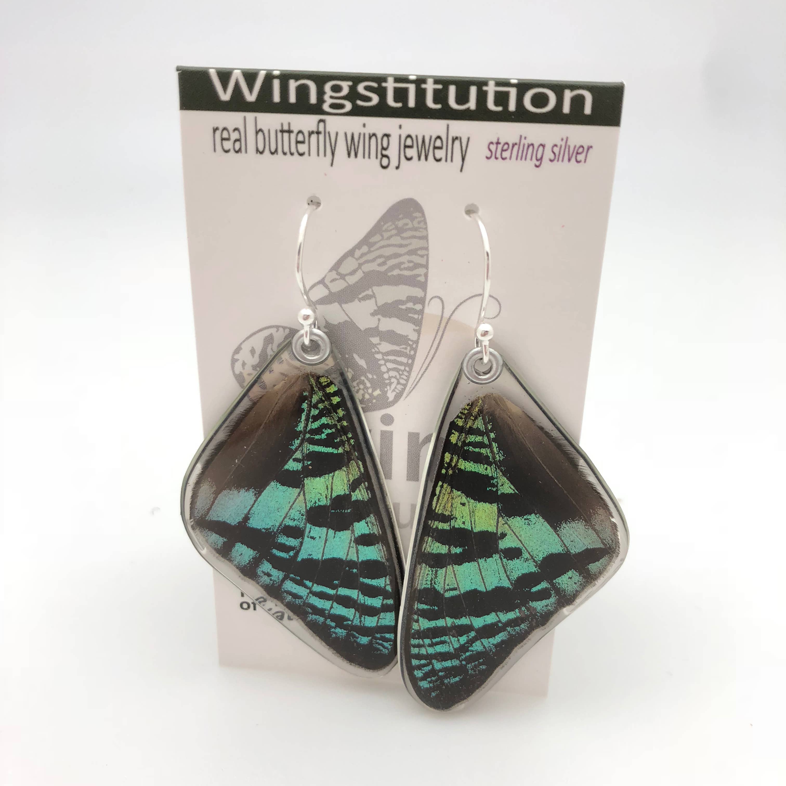 Butterfly Earrings: Green Sunset Moth Top Wing 0055