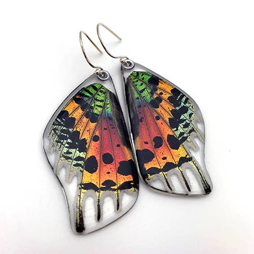 Butterfly Earrings: Sunset Moth Bottom Wings 0055