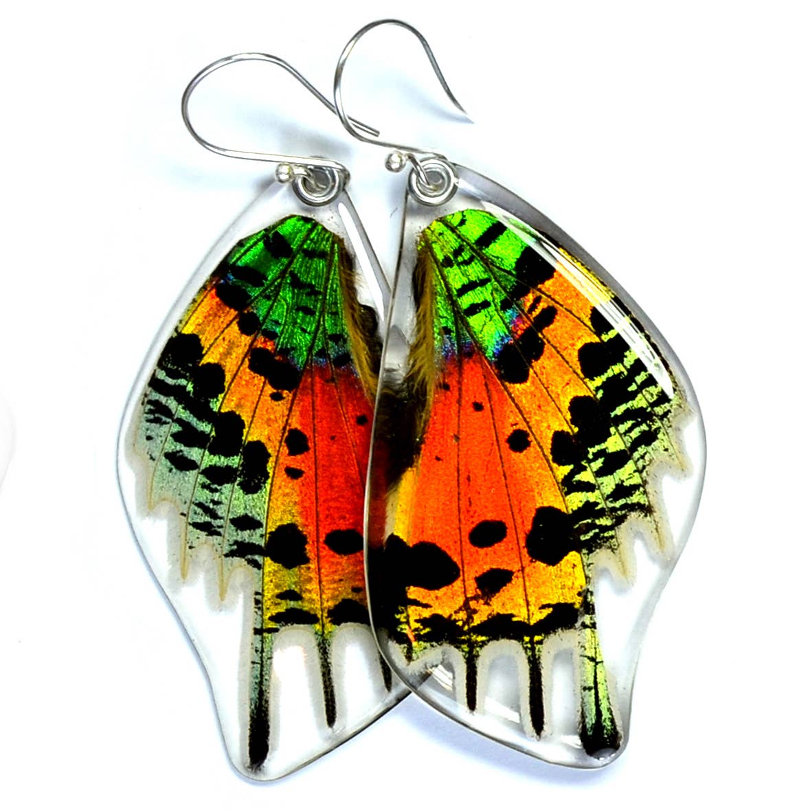 Butterfly Earrings: Sunset Moth Bottom Wings 0055