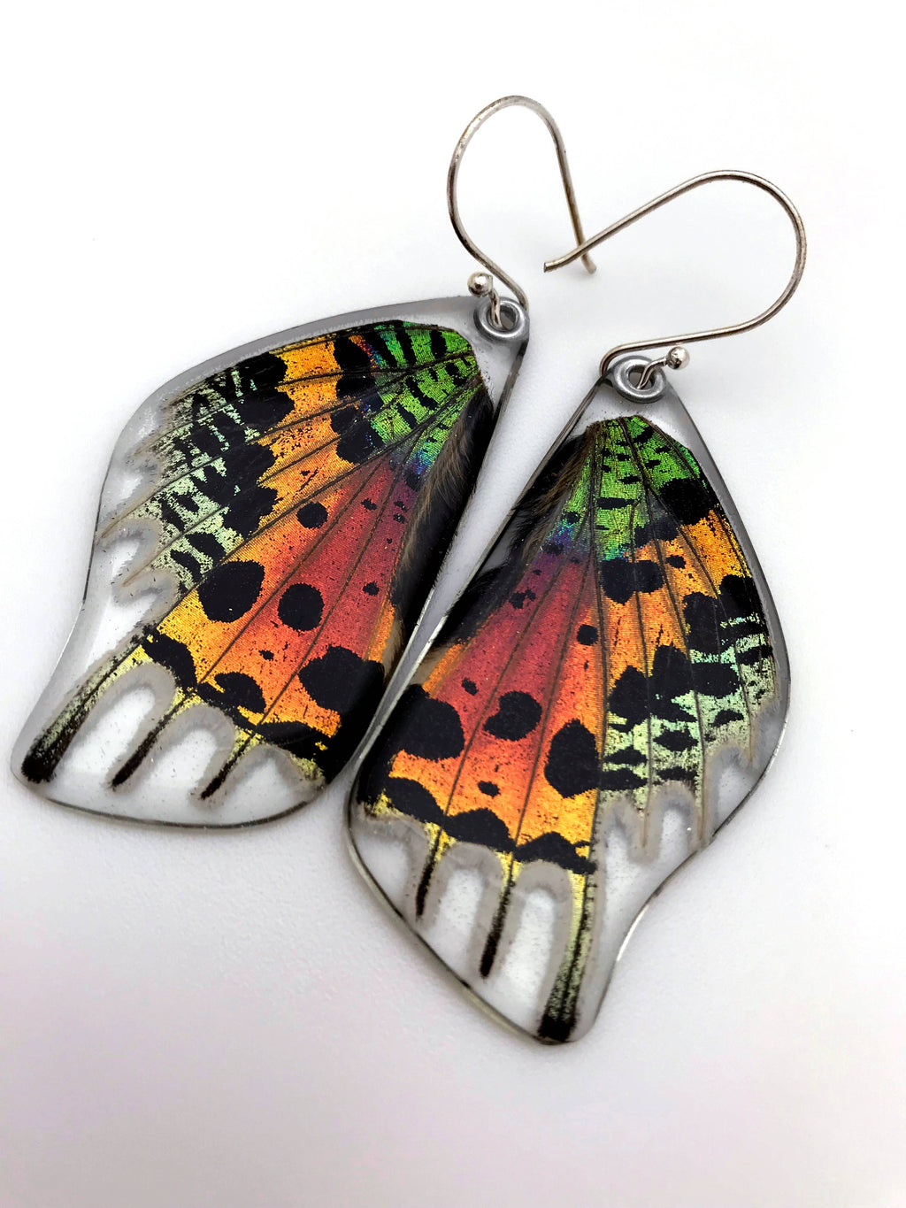 Butterfly Earrings: Sunset Moth Bottom Wings 0055