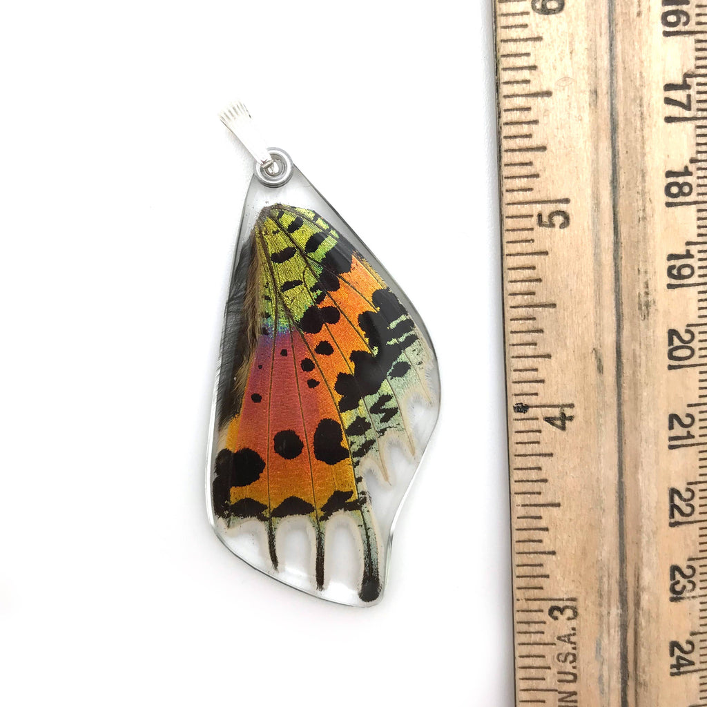 Butterfly Pendant: Sunset Moth Bottom Wing