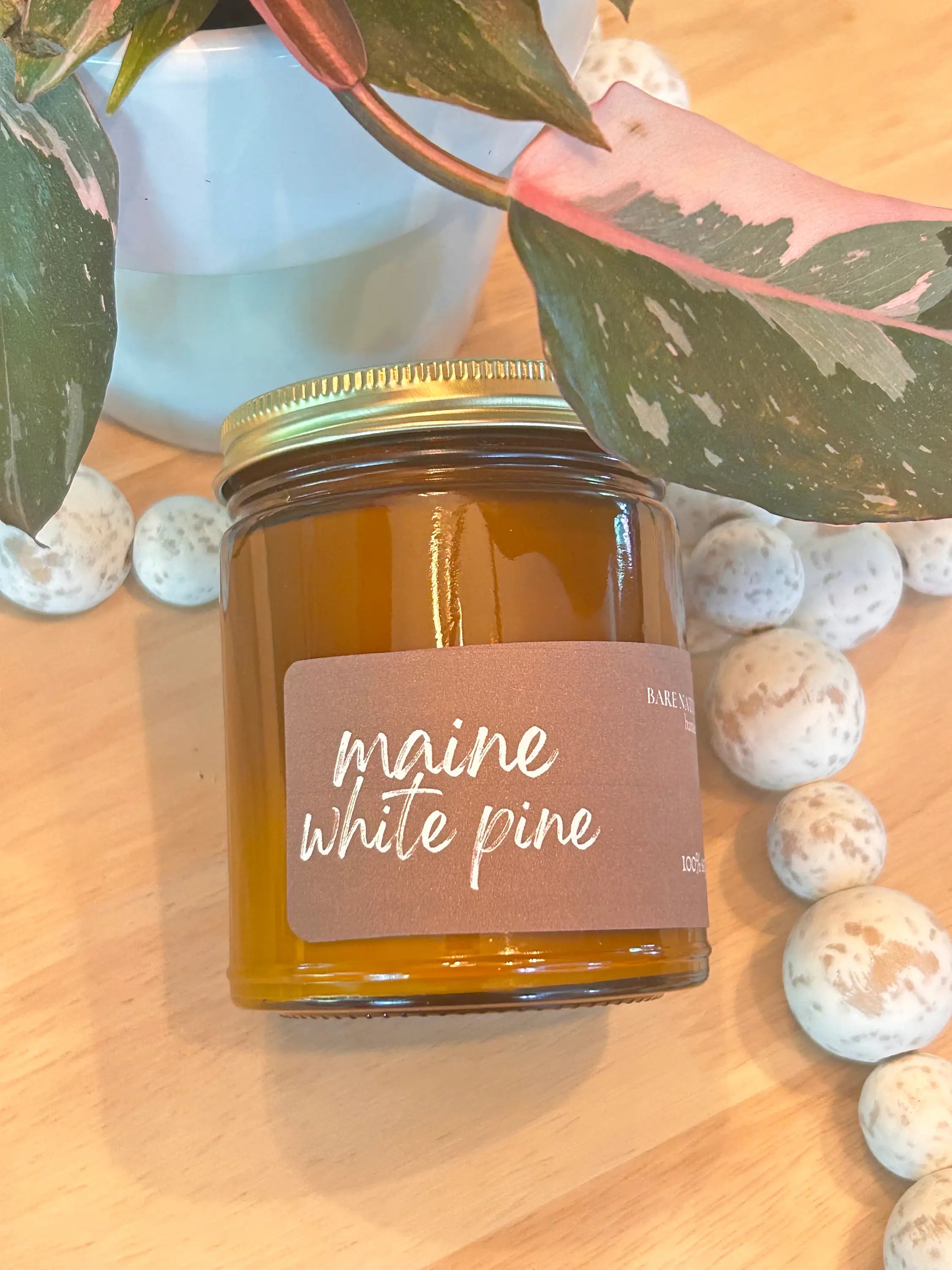 Maine White Pine Soy Jar Candle