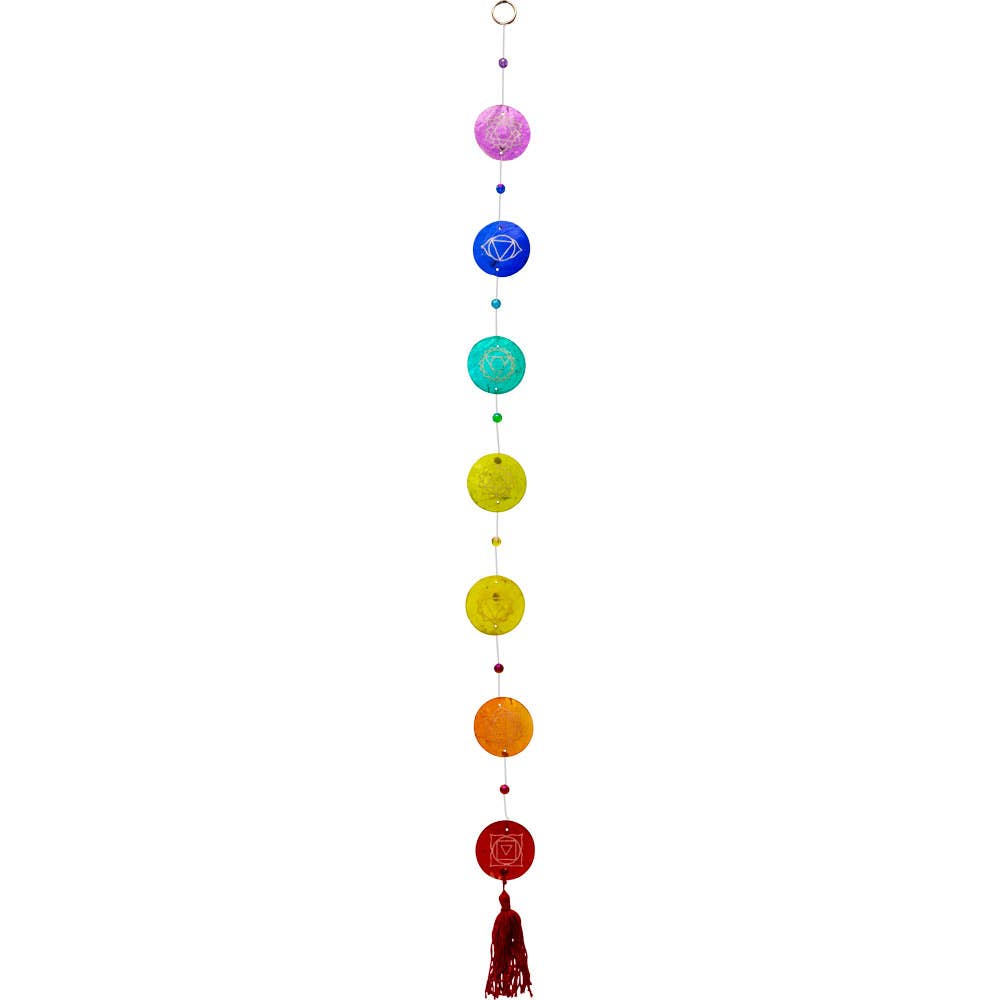 Rainbow Shell Wall Hanging String 7 Chakras