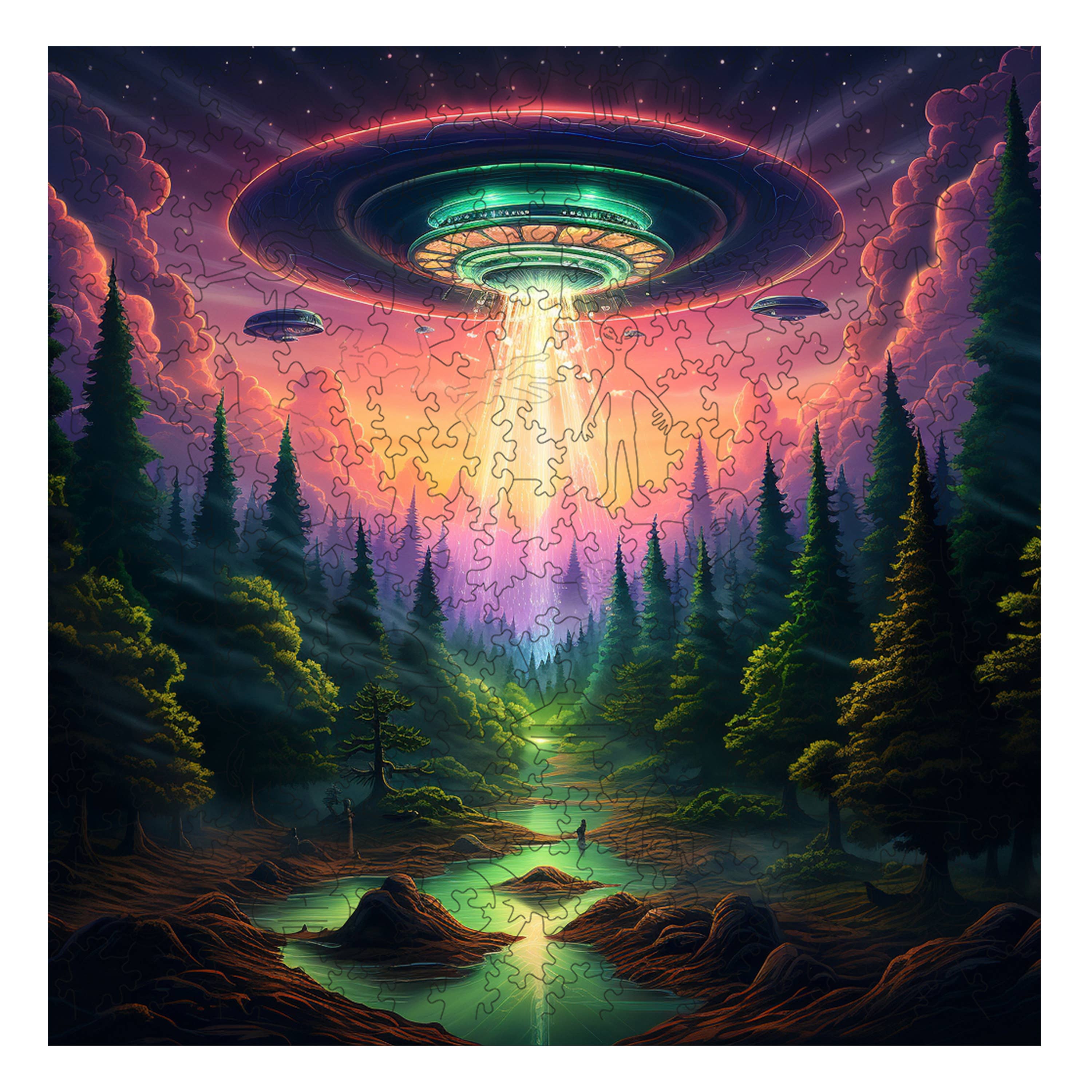 Earthly Encounter Wooden Jigsaw Puzzle 300PC