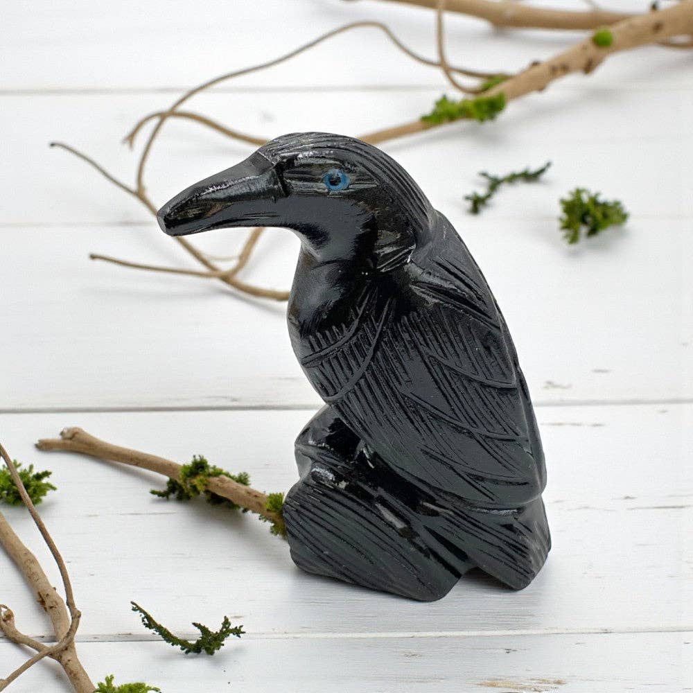 Black Onyx Raven Animal