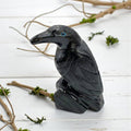 Black Onyx Raven Animal