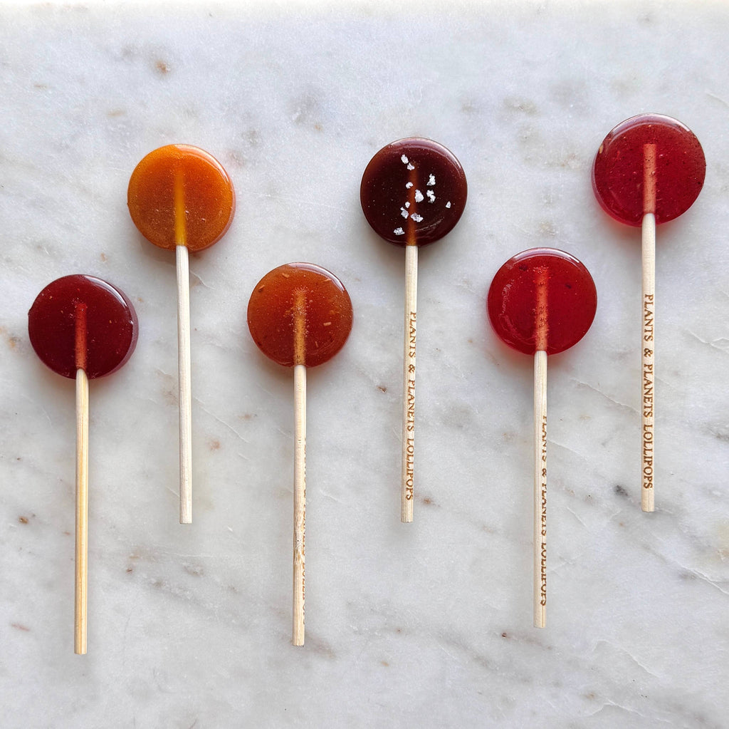 Plants & Planets Lollipops - Winter Collection