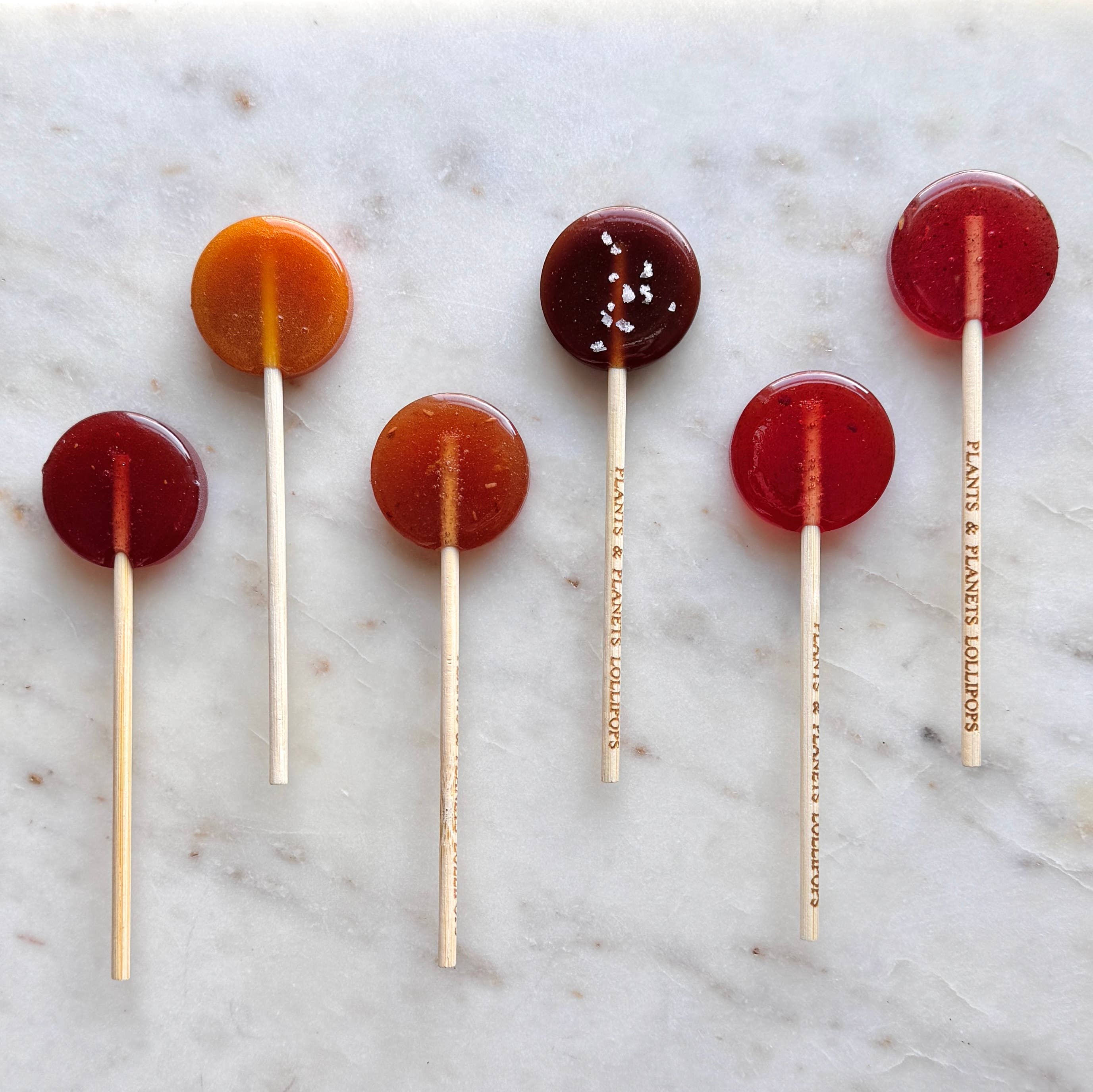 Plants & Planets Lollipops - Winter Collection