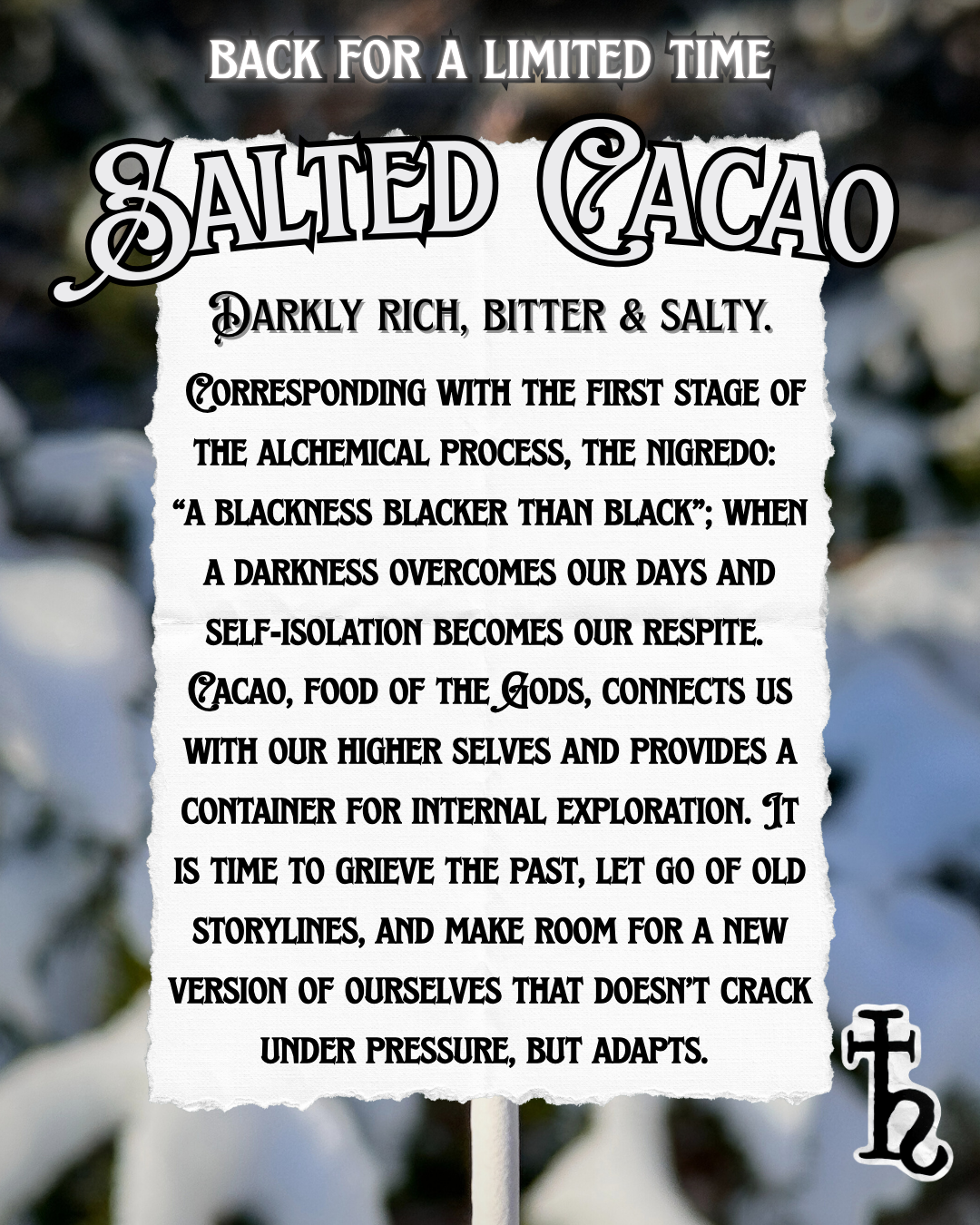 Virgo Moon Lollipops - Salted Cacao - Saturn