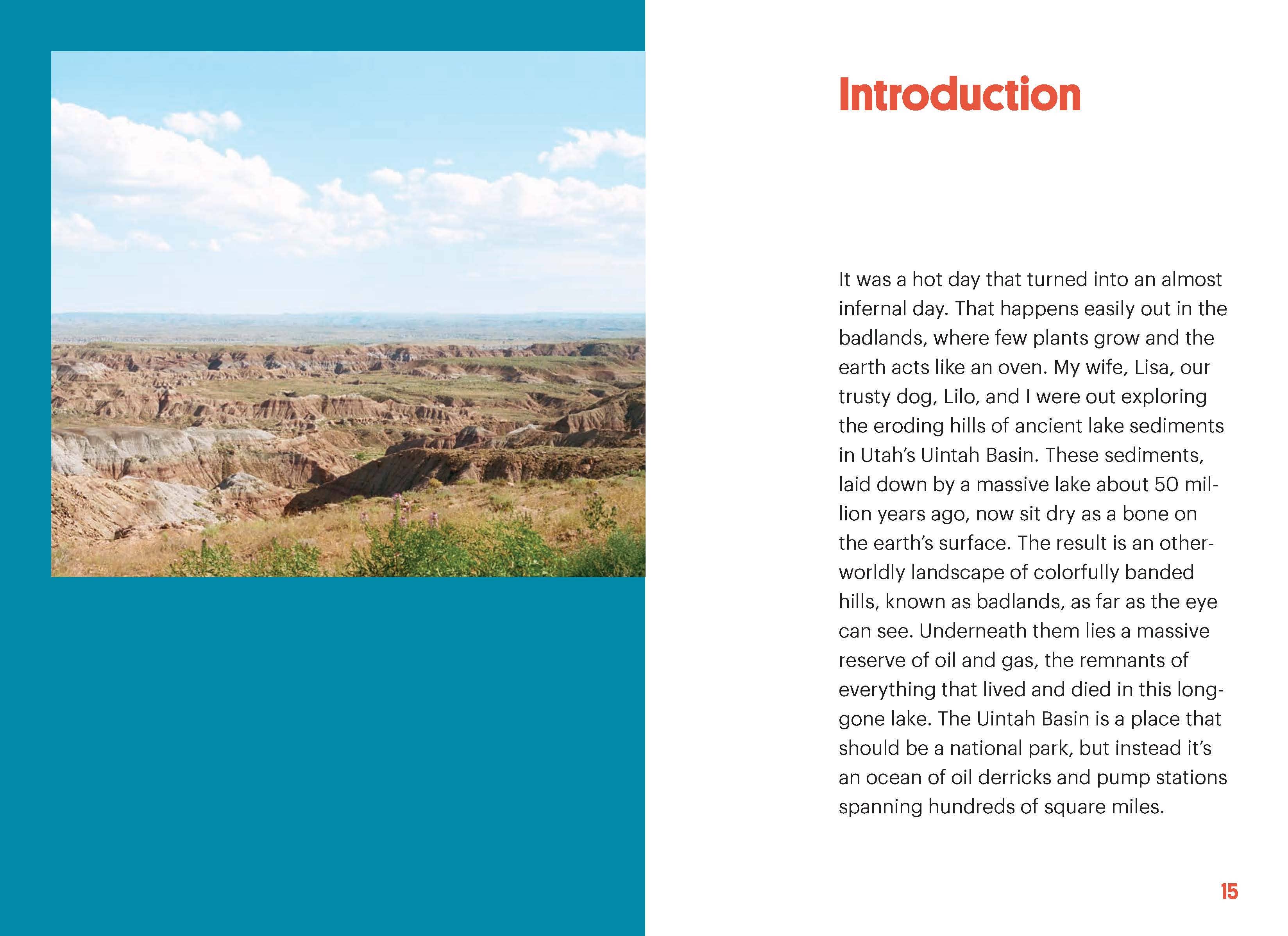 Beautiful Rocks and How to Find Them