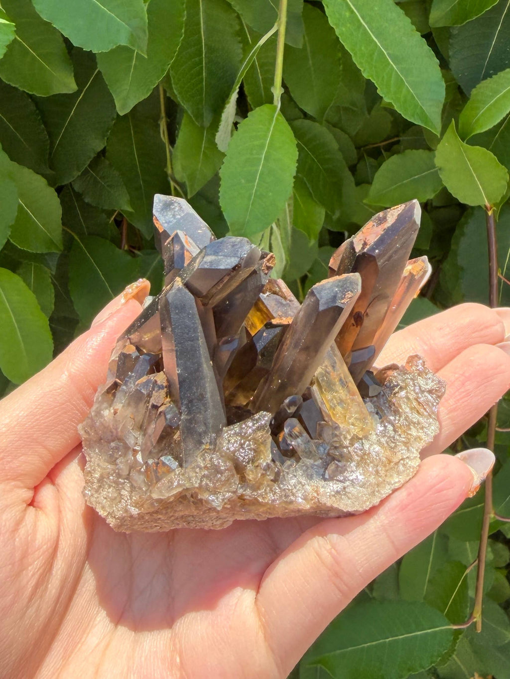 Natural Smoky Quartz Cluster