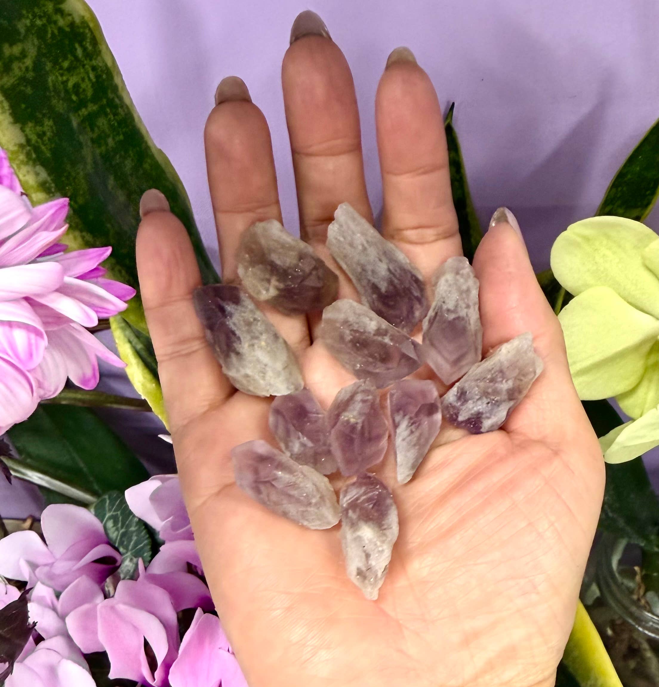 Raw Amethyst with Pyramid Phantom Quartz Crystal
