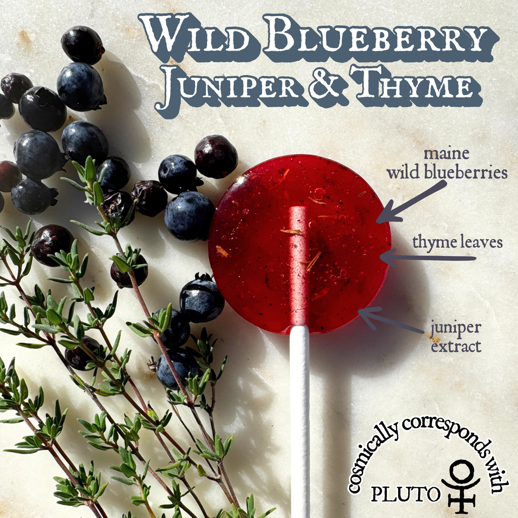 Plants & Planets Lollipops - Winter Collection