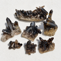 Natural Smoky Quartz Cluster