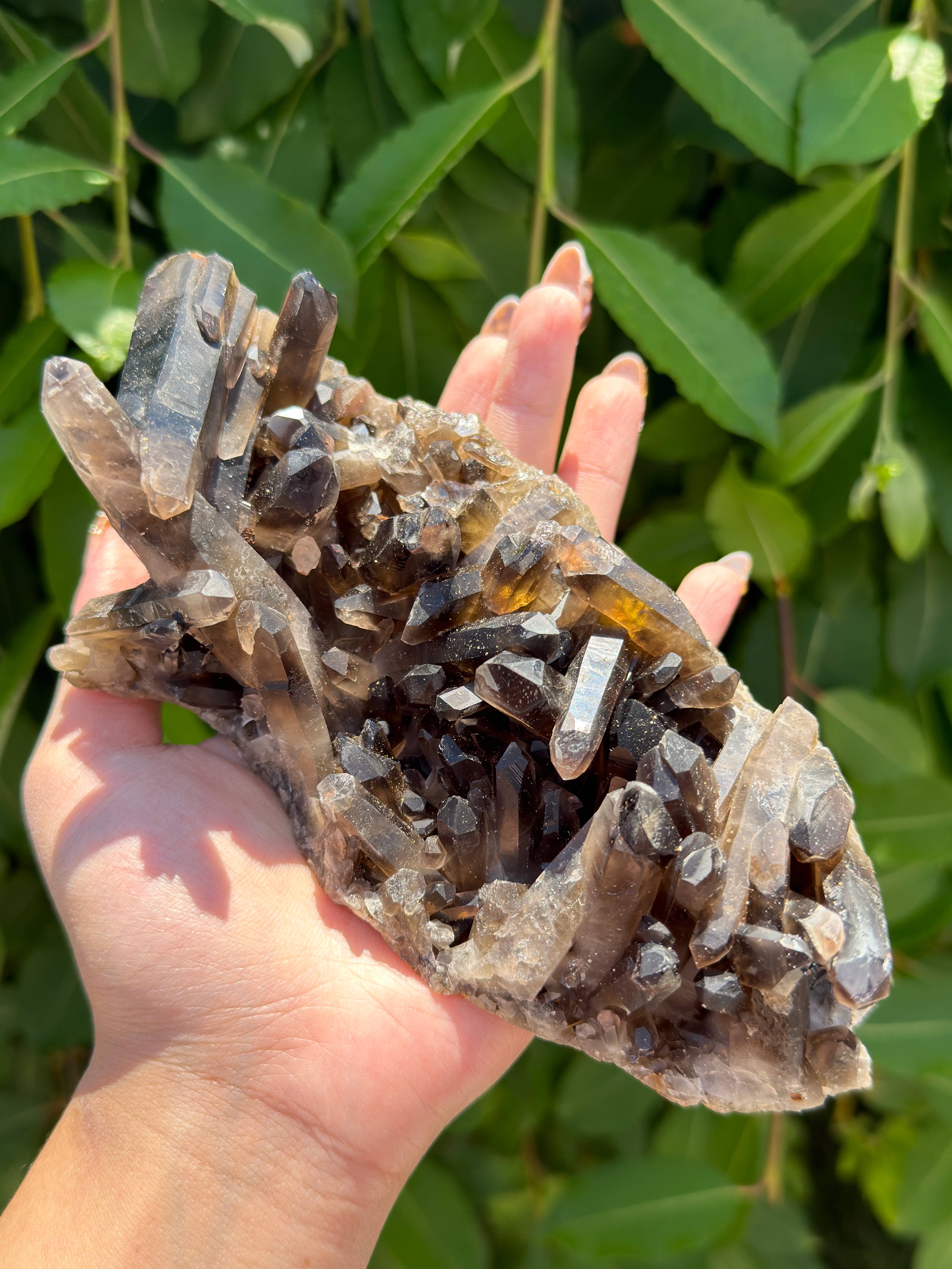 Natural Smoky Quartz Cluster