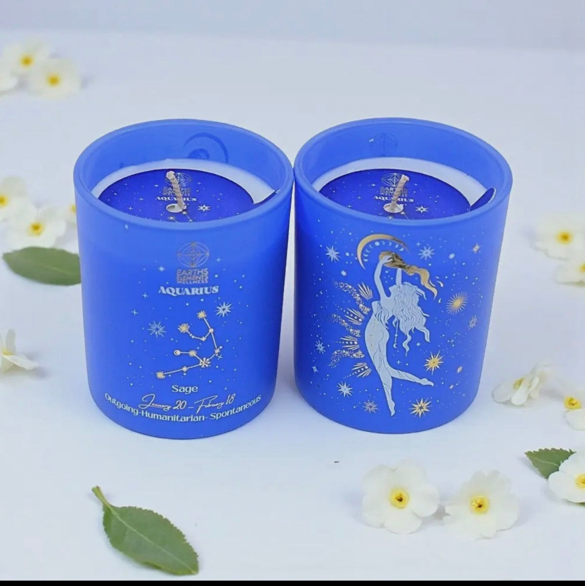 Zodiac Candle: Capricorn Aquarius Pisces Taurus Aries Gemini Cancer Leo Scorpio Virgo Libra Sagittarius