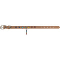 Small- Vegan Leather Cat/Dog Collar - 7 Chakras