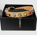 Dog Collar: Seven Chakras