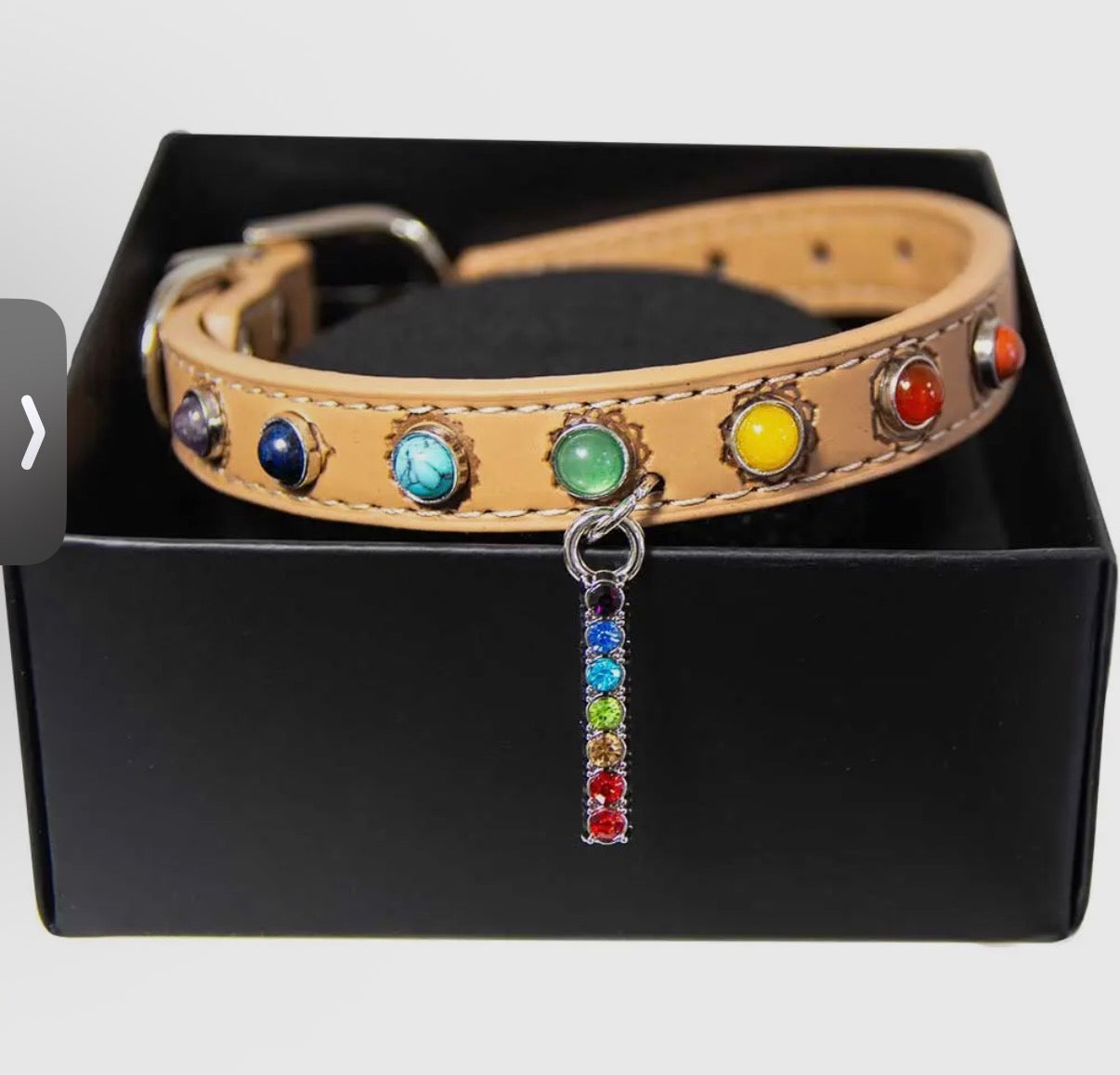 Dog Collar: Seven Chakras