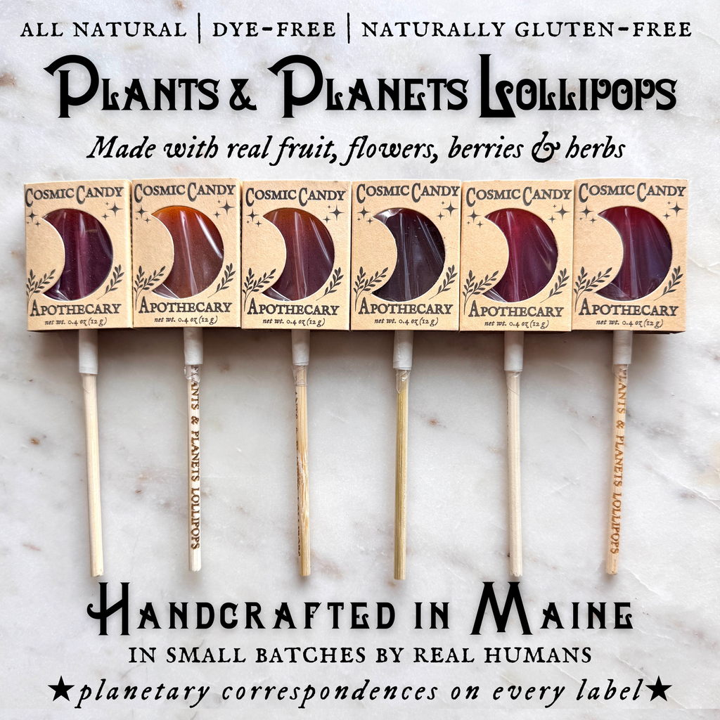 Plants & Planets Lollipops - Winter Collection