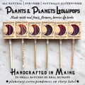 Plants & Planets Lollipops - Winter Collection