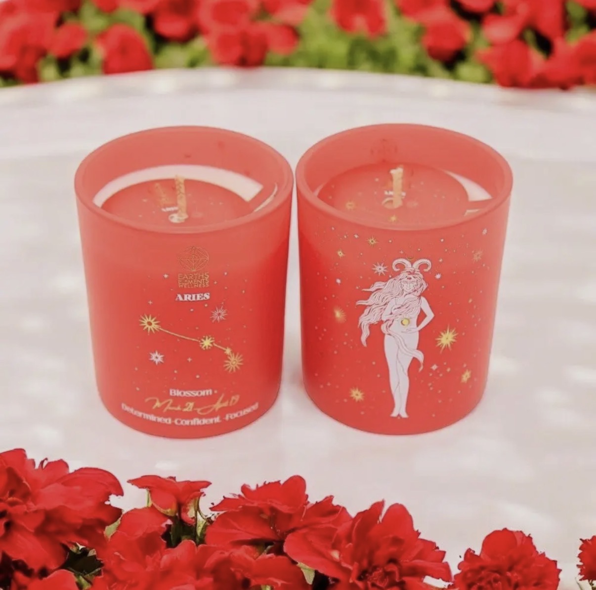 Zodiac Candle: Capricorn Aquarius Pisces Taurus Aries Gemini Cancer Leo Scorpio Virgo Libra Sagittarius