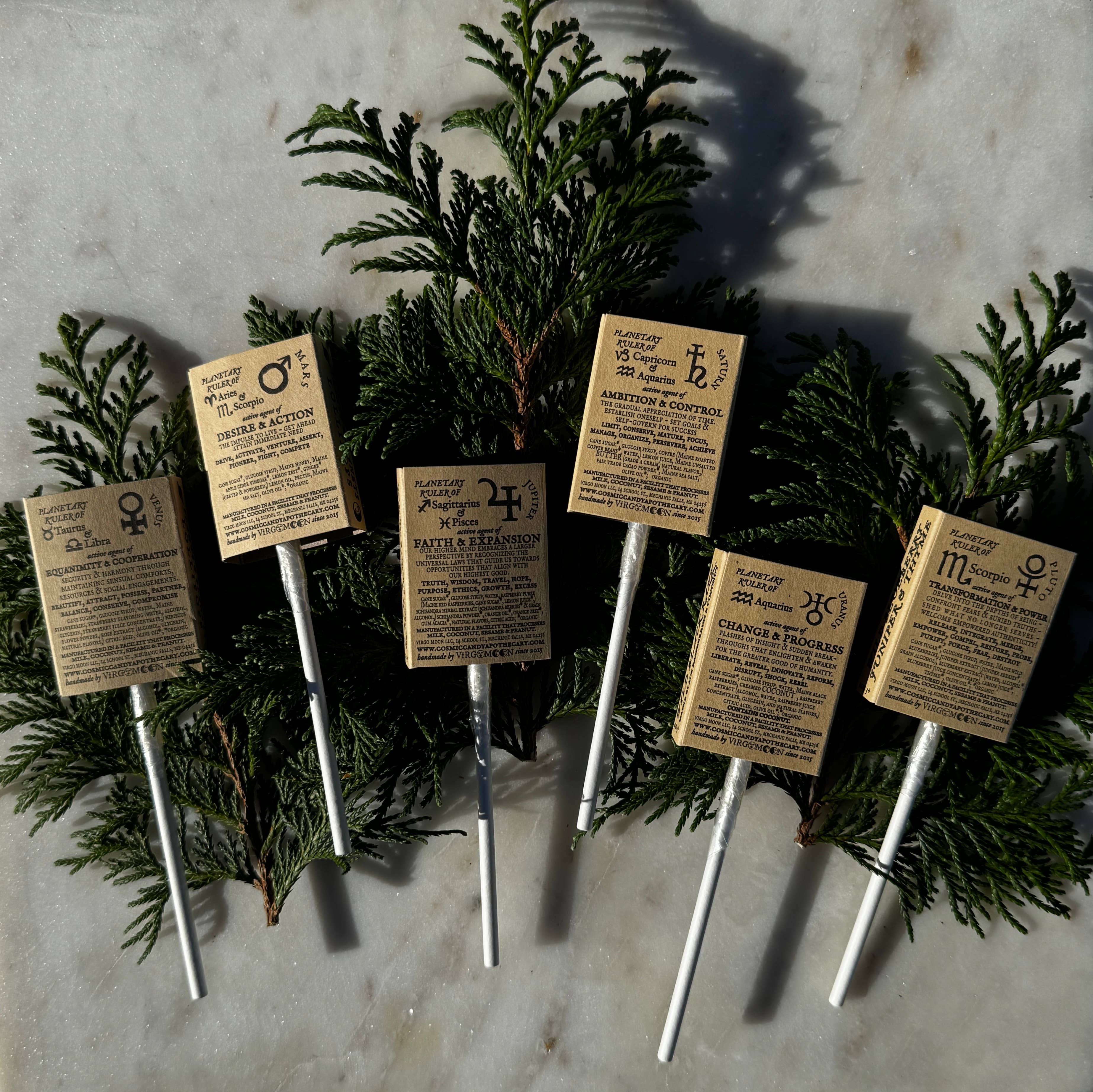 Plants & Planets Lollipops - Winter Collection