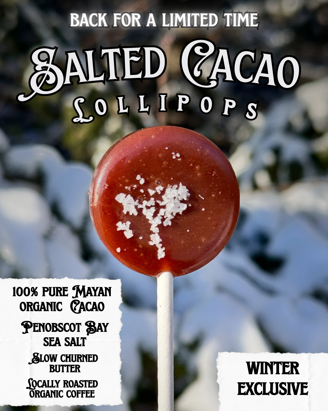 Virgo Moon Lollipops - Salted Cacao - Saturn