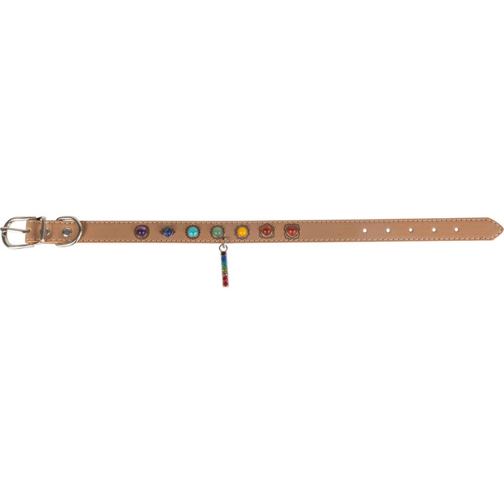 Medium- Vegan Leather Dog Collar - 7 Chakras