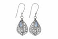 Moonstone Teardrop Rainbow Earrings