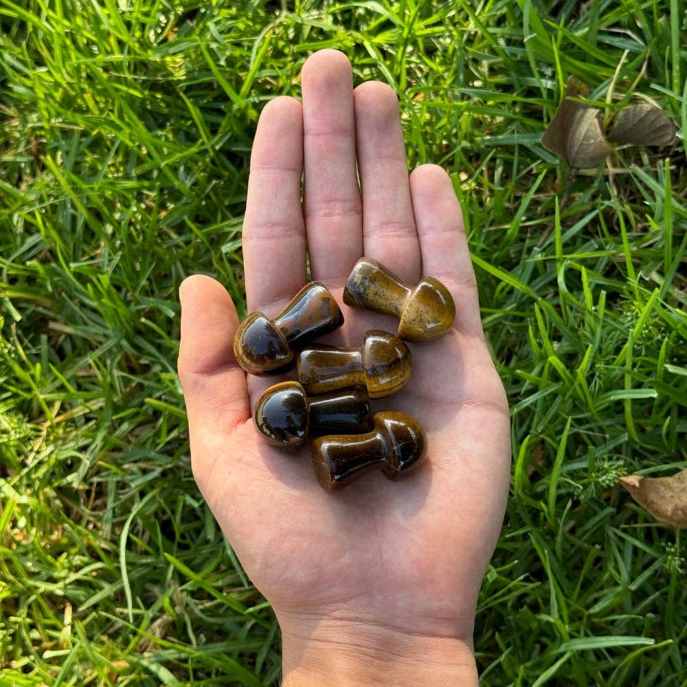 Crystal Mushroom - Tiger's Eye Medium