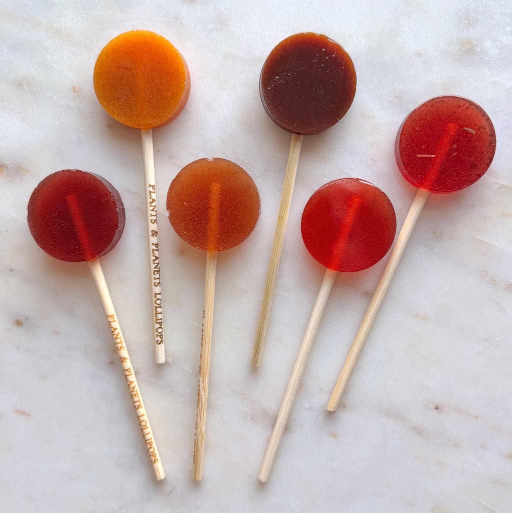 Plants & Planets Lollipops - Winter Collection