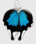 Butterfly Earrings: Mountain Blue Swallowtail, 0400 Bottom Wings