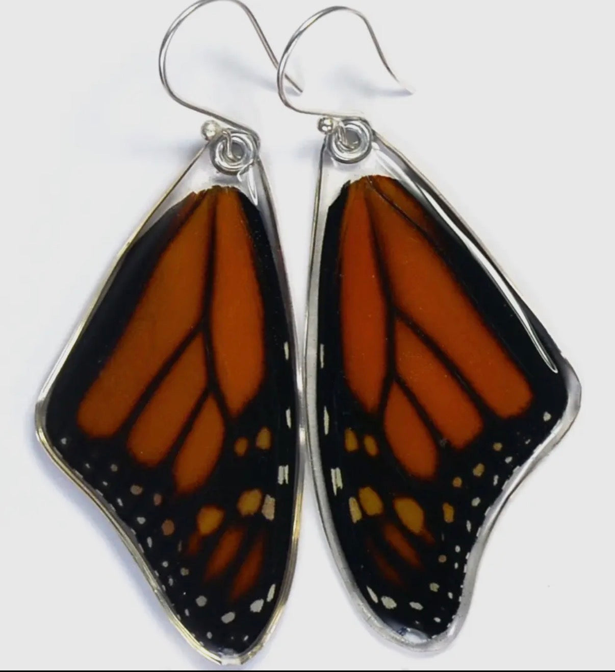 Butterfly Earrings: Monarch, 0170 Top Wings