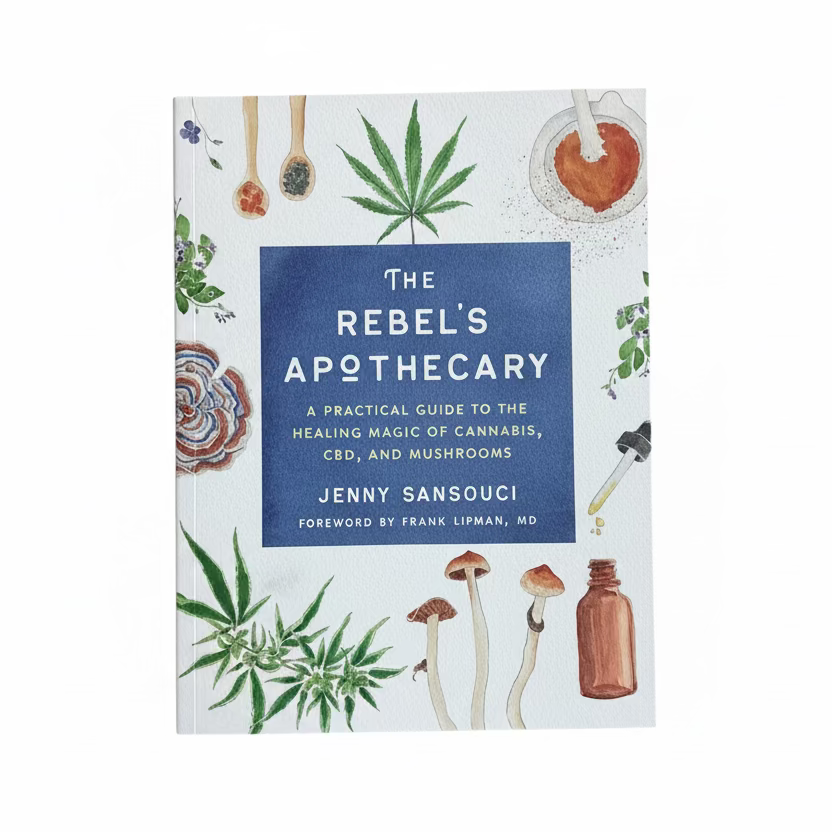 The Rebel’s Apothecary Book by Jenny Sansouci