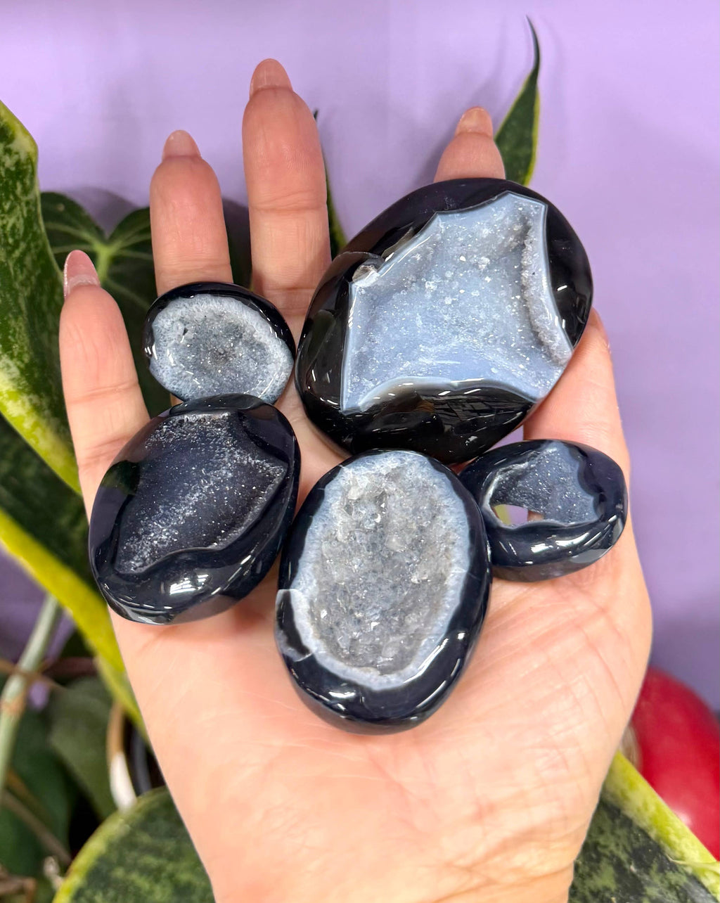 Druzy Banded Onyx Palm Stone Crystal Energy