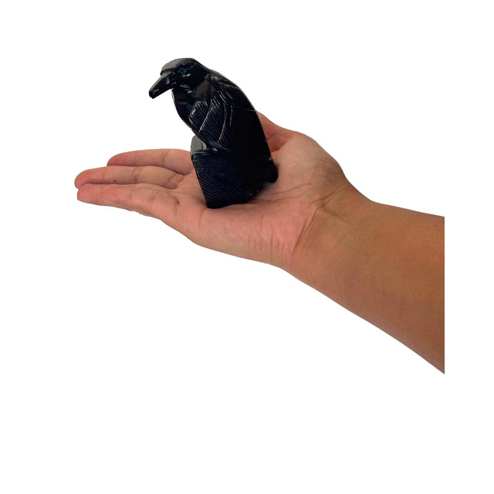 Black Onyx Raven Animal