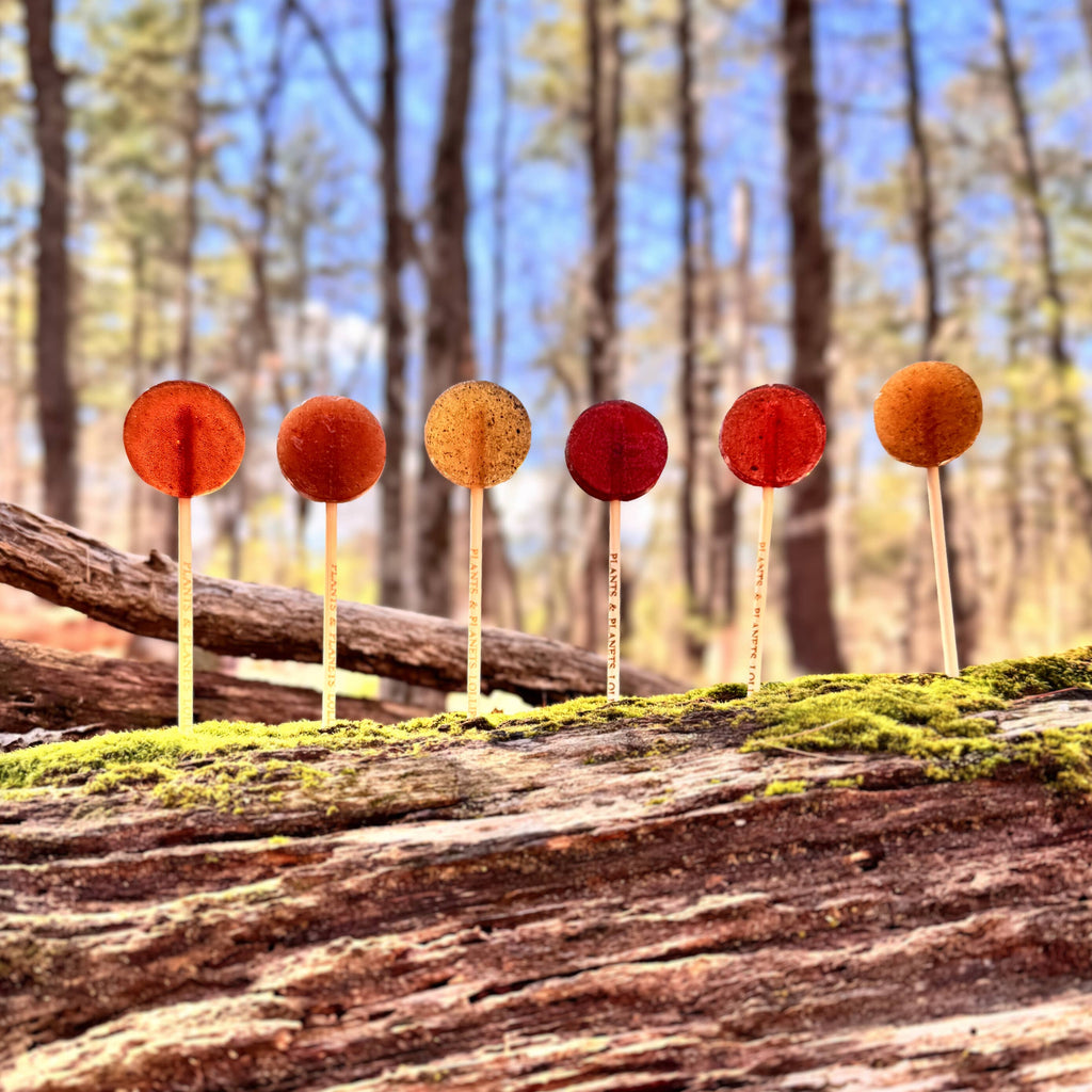 Plants & Planets Lollipops - Summer Collection Assortment