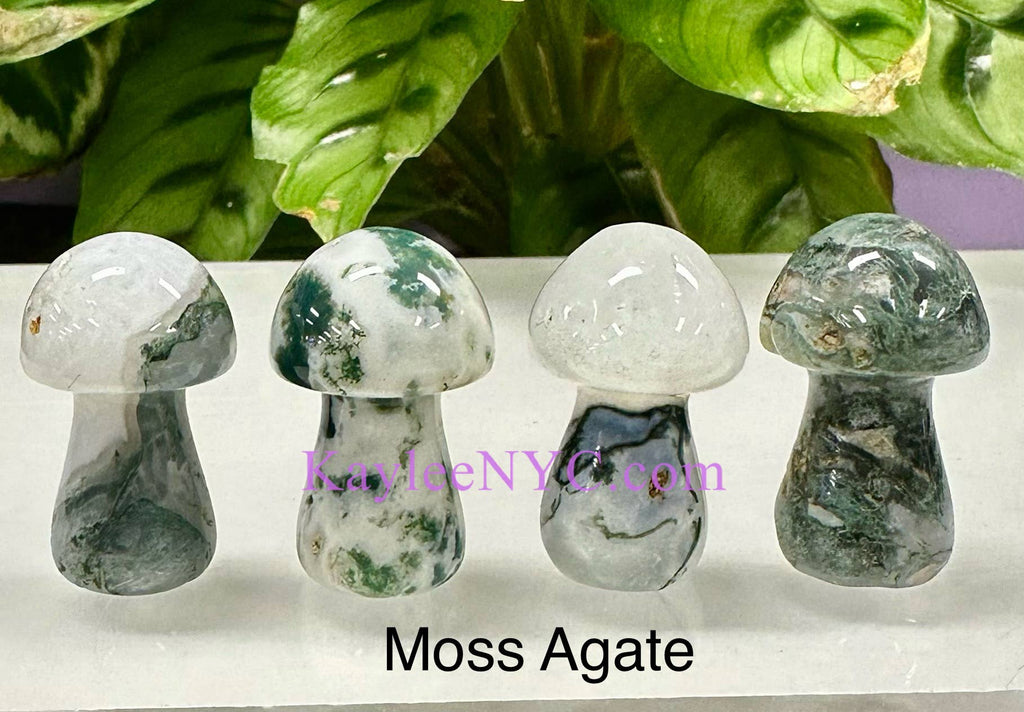Crystal Mushrooms 3.5cm Crystal Healing