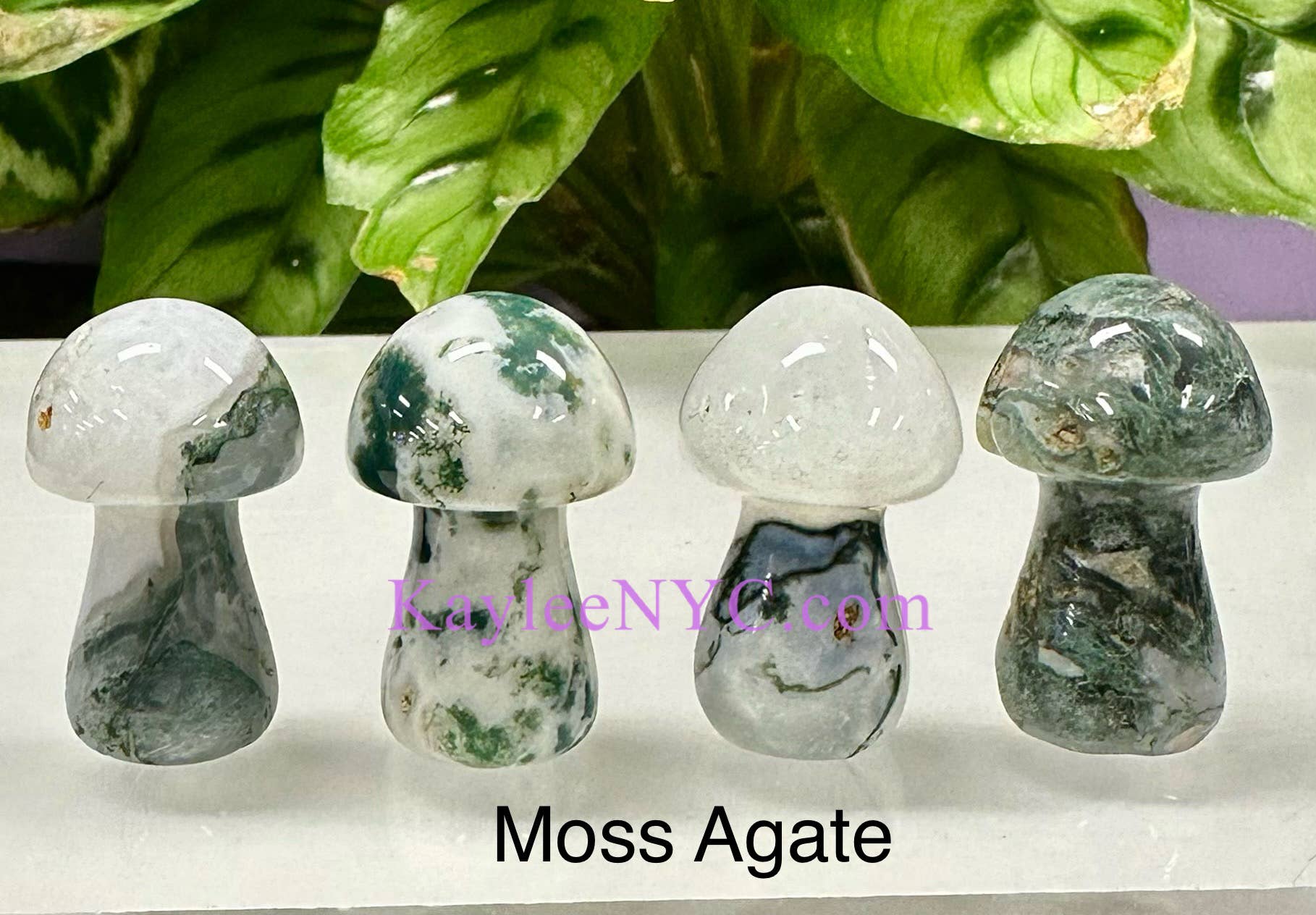 Crystal Mushrooms 3.5cm Crystal Healing