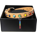 Medium- Vegan Leather Dog Collar - 7 Chakras