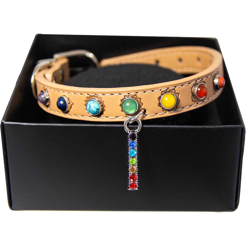 Medium- Vegan Leather Dog Collar - 7 Chakras